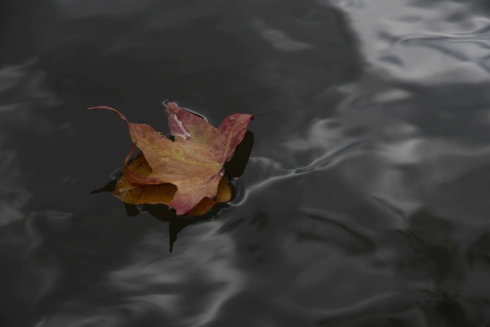 Le temps de l'automne