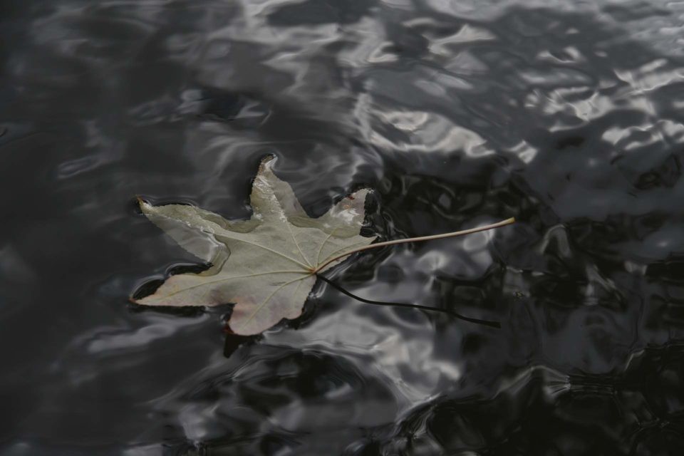 Le temps de l'automne