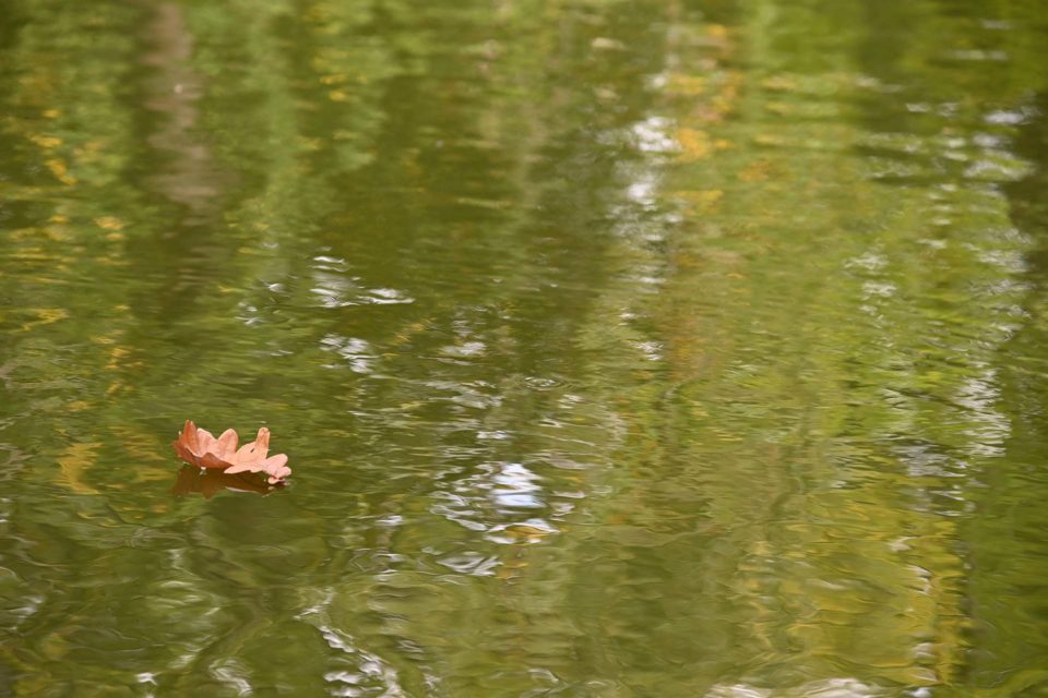 Le temps de l'automne